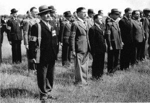 Добровольцы местной обороны (впоследствии — войска местной обороны)