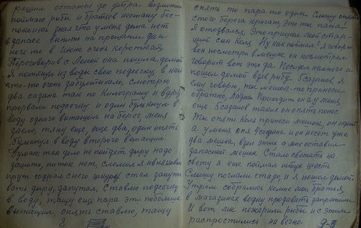 Страница дневника