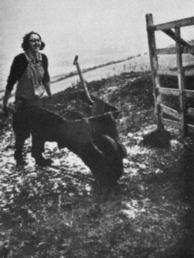 Девушка из Женской сельскохозяйственной армии.