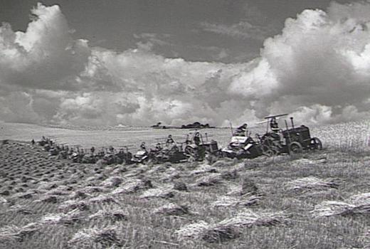 «Массовое наступление» на поле площадью 400 акров (160 гектаров).