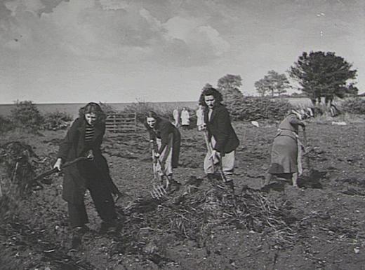 Работа в окрестности города Вулвергемптон.