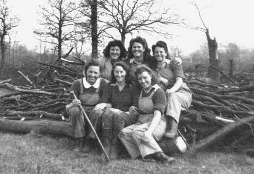 На расчистке земли перед ее культивированием в районе Эппинг Форест, 1943 г.