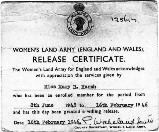 Документ Мэри об увольнении со службы в период с 8 июня 1943 г. по 16 февраля 1946 г.