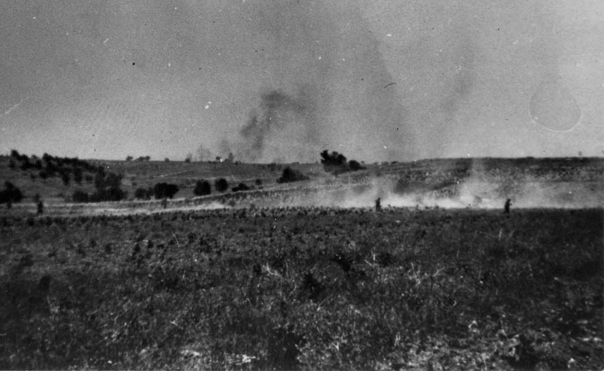 Новозеландцы начинают контратаку