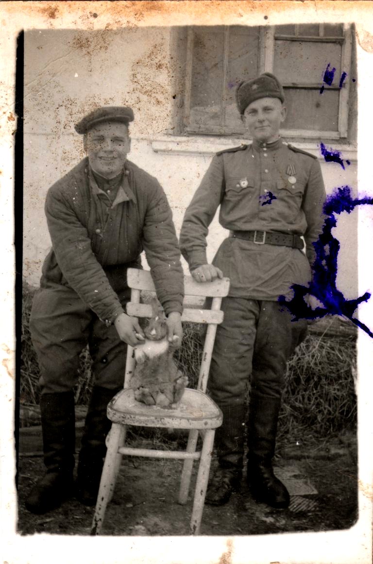 «Высылаю это фото на память своему другу Грише от друга Степы. Взгляни и вспомни. 1949. Новый год» - На снимке два неизвестных солдата. Один из них держит кошку, пытаясь посадить ее на стул. Другой, скорее всего, даже младше меня: худенький солдатик с мальчишескими чертами лица. Страшно представить, что его забрали на войну практически со школьной скамьи. Наверно, он попросил передать фотографию другу, но она волею судеб так и осталась на руках у моего прадеда.