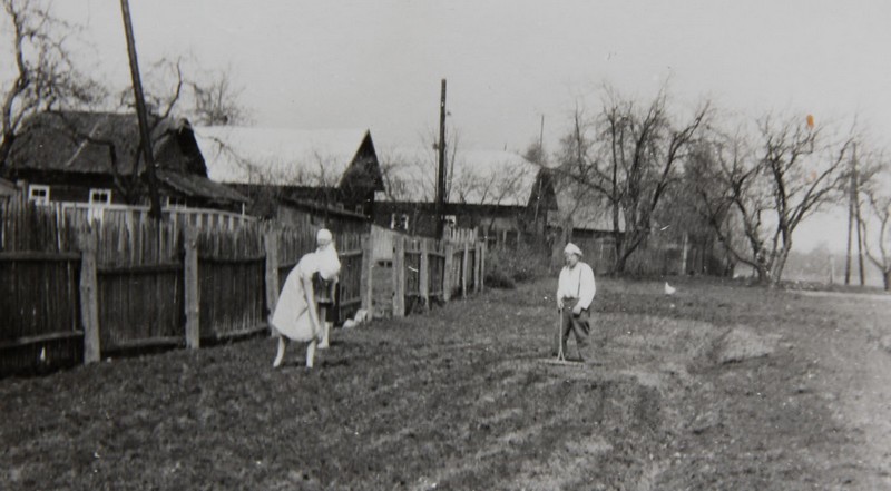 Сергеевичи. Поле рядом с домом дедушка и на втором плане бабушка